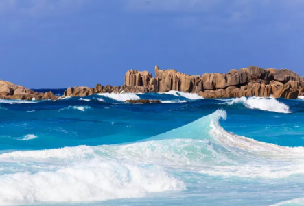 塞舌爾公司年審逾期會(huì)有什么后果？